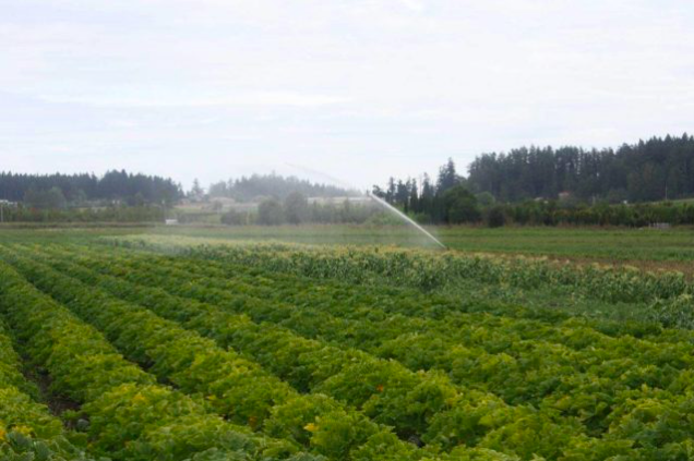 Province announces new funding for B.C. farmers