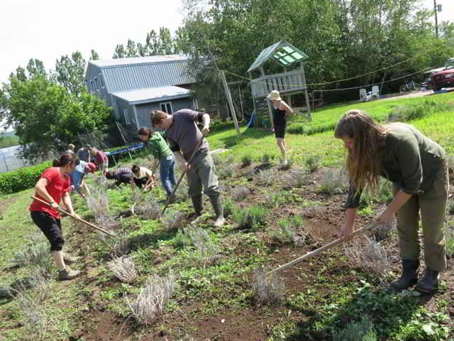 Participants in ACORN's 2013 Grow A Farmer Apprenticeship Program participate on a NS Farm Tour/Work Party.