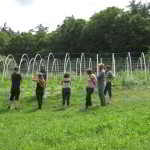 May 4: Extend Your Growing Season with Caterpillar Tunnels at Broadfork Farm!