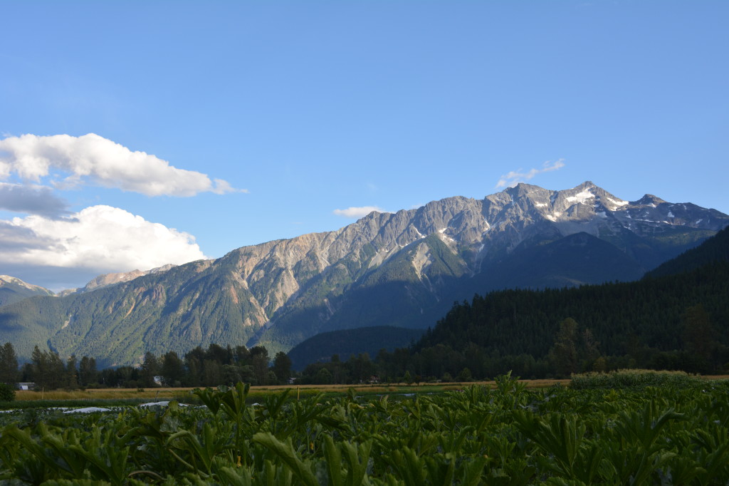 JOB Plenty Wild Farms, Pemberton, BC Young Agrarians