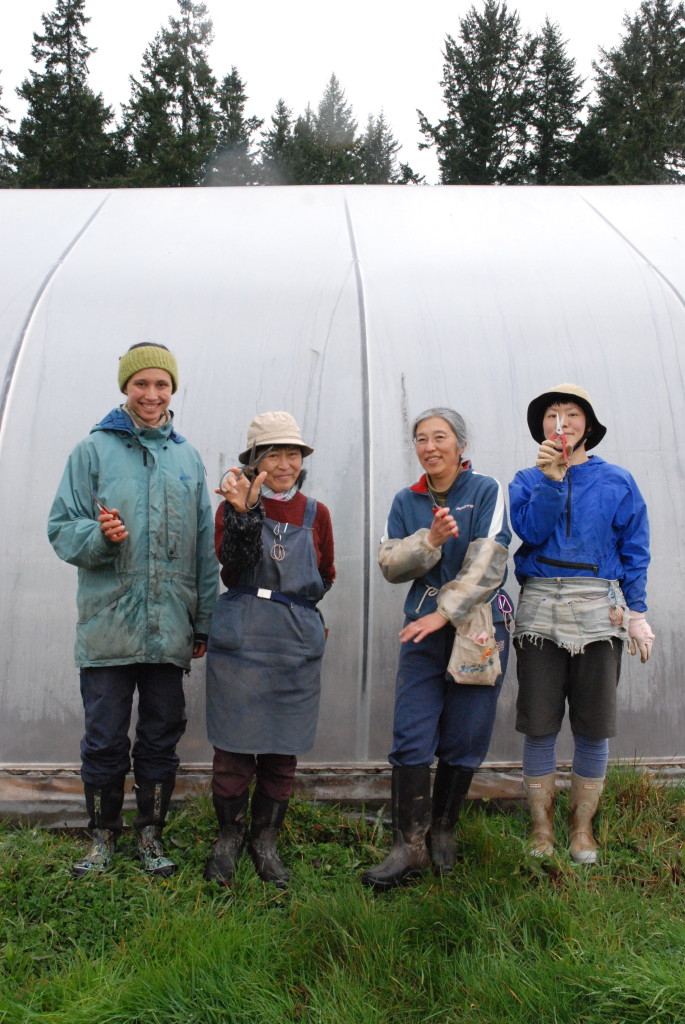 Umi Nami Farm Crew Young Agrarian Potluck & Tour