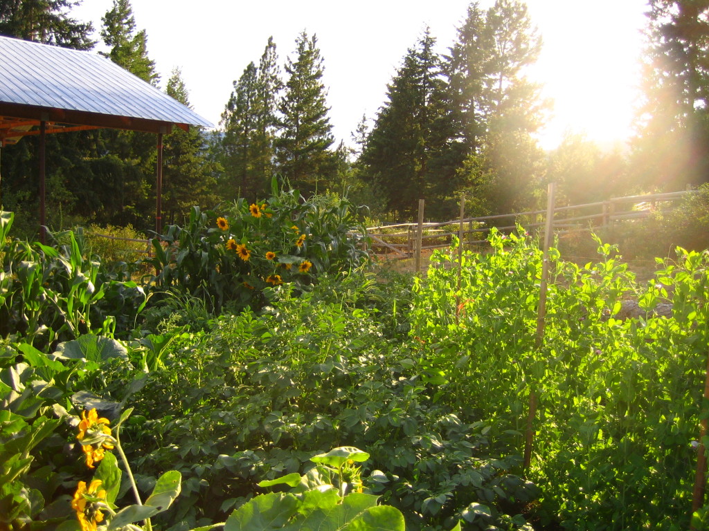 LAND Certified Organic Farm Land for Lease, Okanagan, BC Young Agrarians