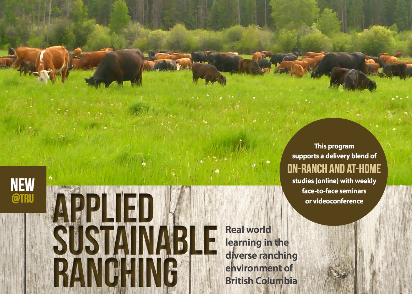Applied Sustainable Ranching Certificate Promo Poster