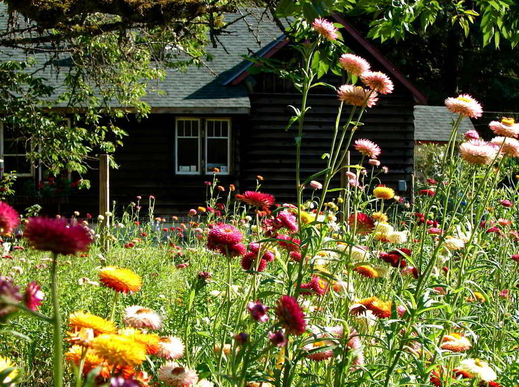 Wild Braid Farm House and Farm Land for Lease in BC