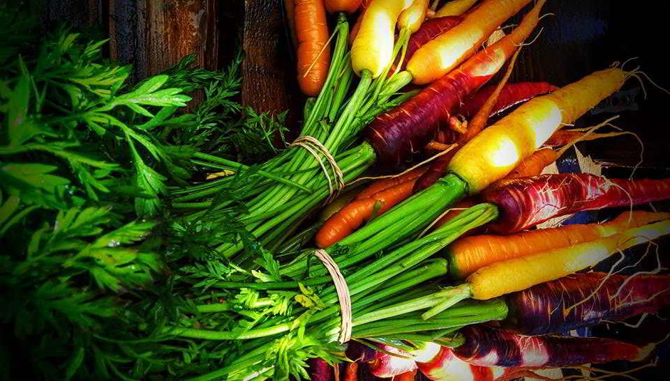 rainbow carrots