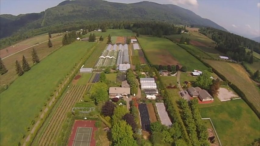 Birds Eye View of Shalefield Organic Gardens, a biodynamic farm, in Lindell Beach, BC