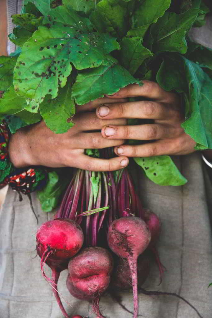 Job Young Agrarians Beet Abundance