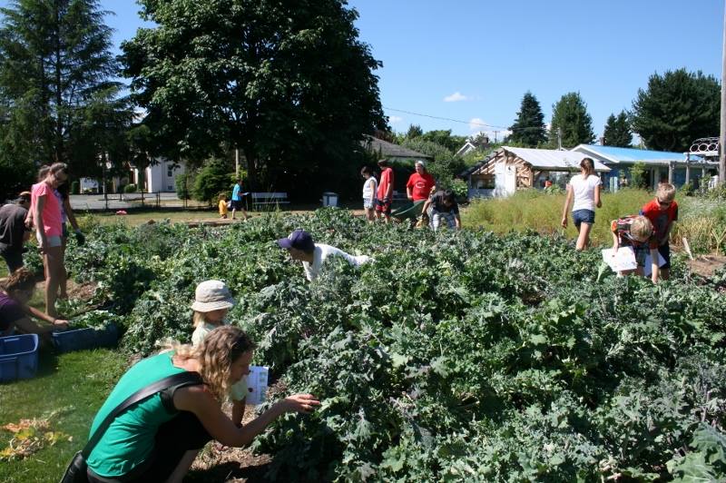 Farm Job Cowichan Green Community