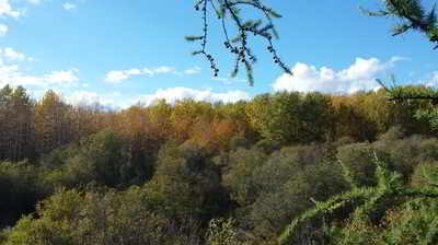Peace River Land