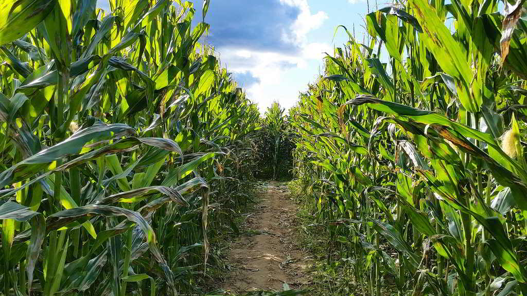 Land Match Agreements - navigating the regulatory labyrinth