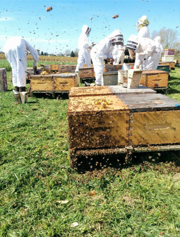 KPU Beekeeping course
