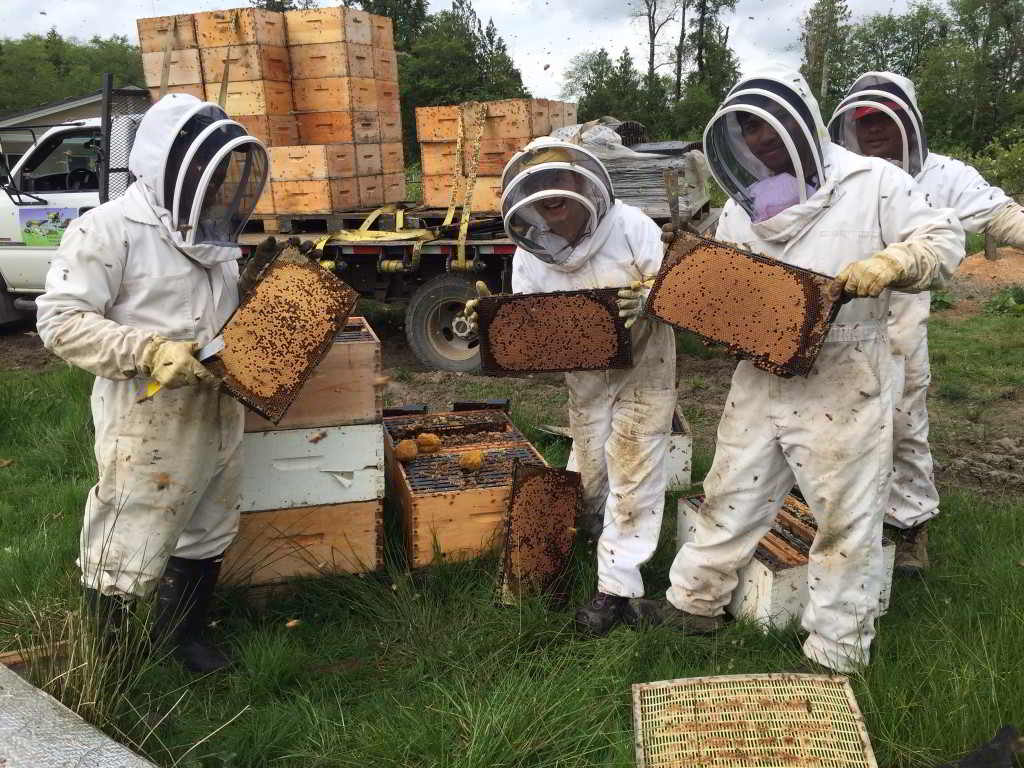 KPU Beekeeping course