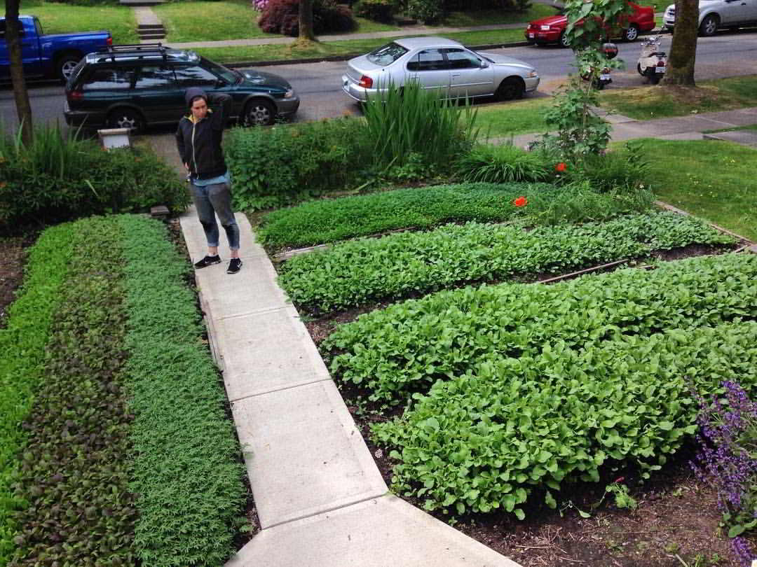 City Beet Farm for Sale
