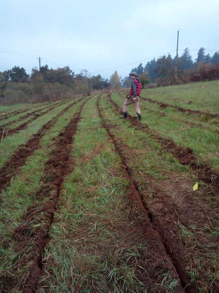 Keyline Design Workshop