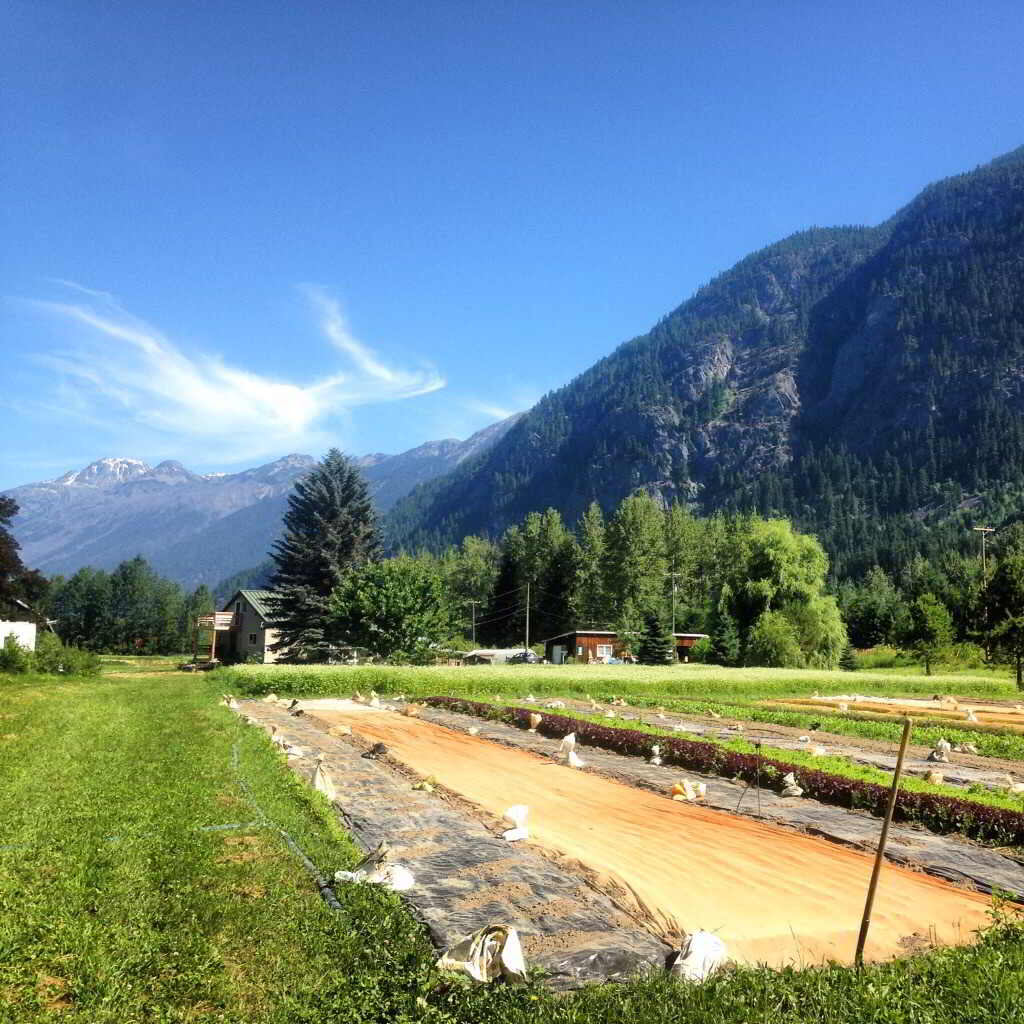 Rootdown Farm Internship