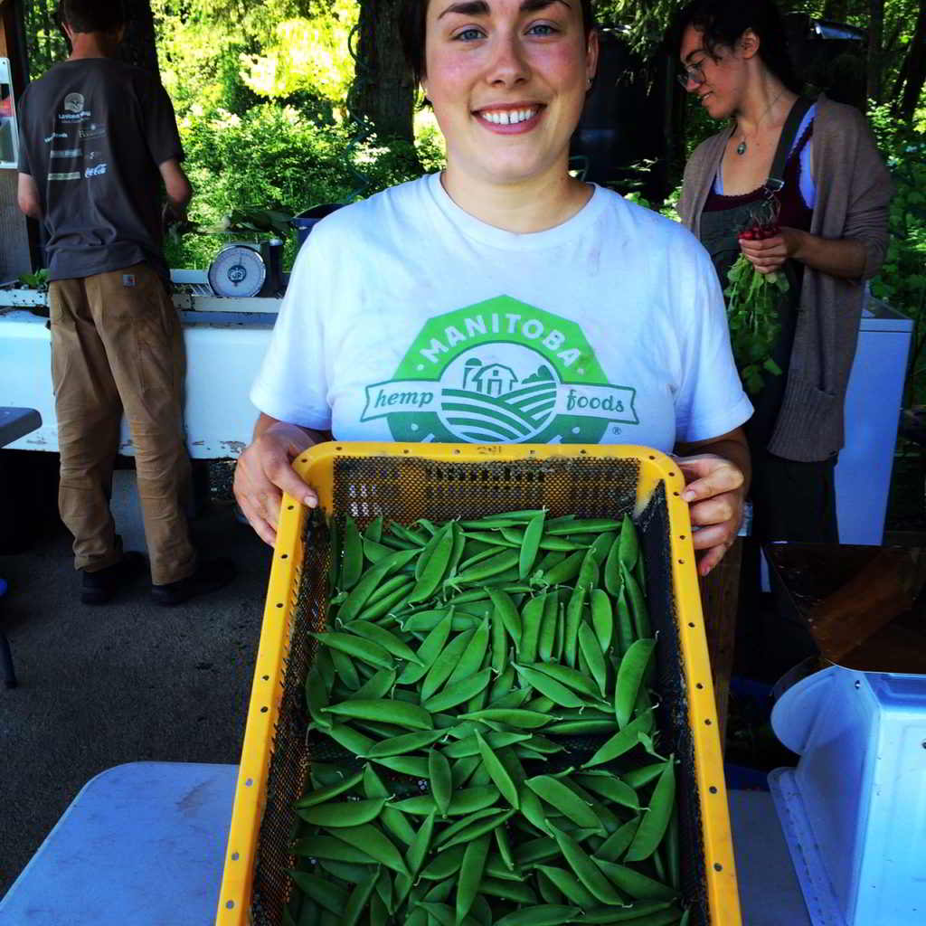 Amara Farm Internship