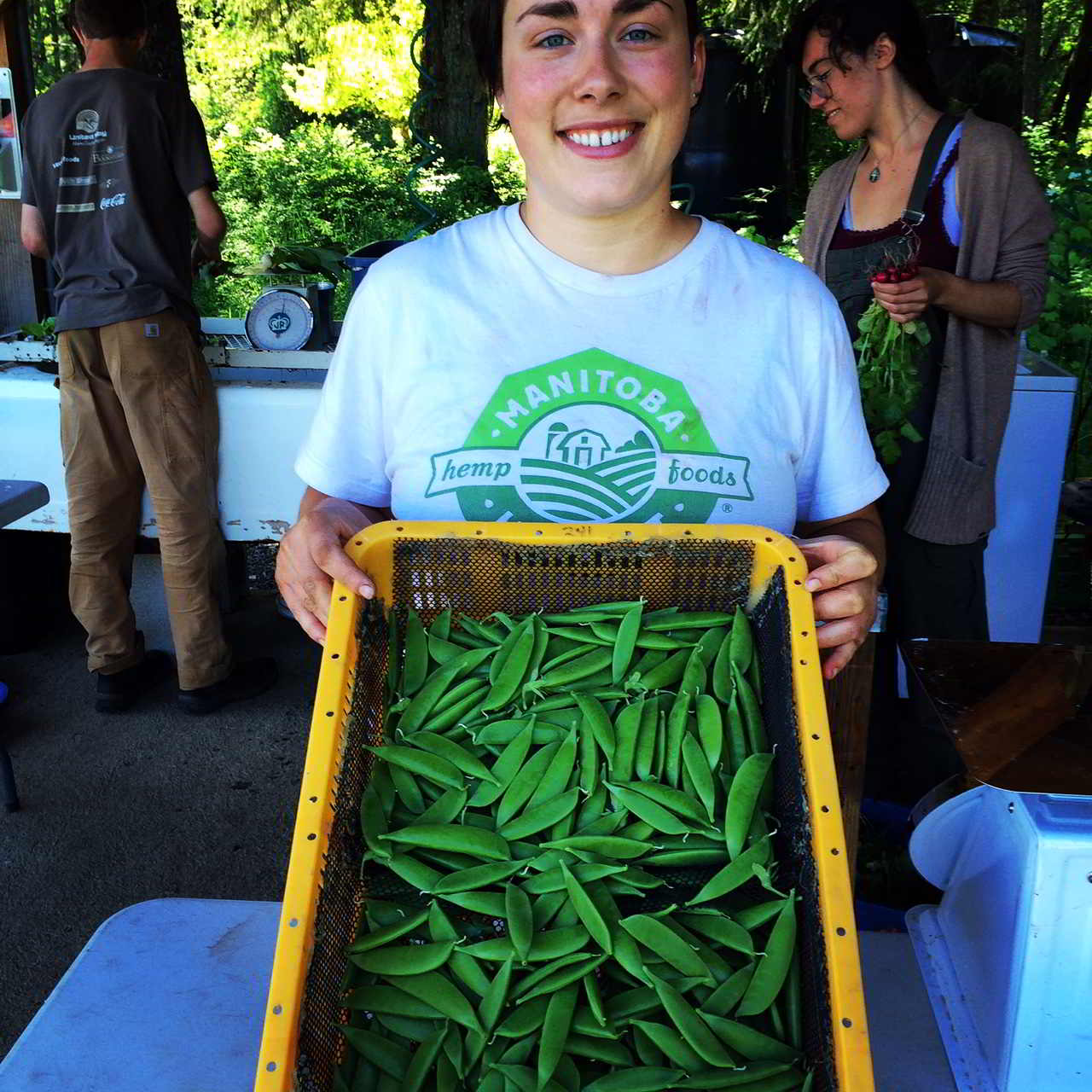 Amara Farm Internship