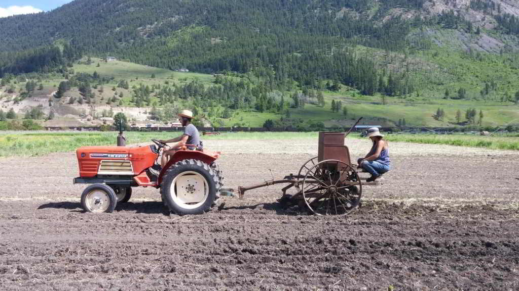Farm Job Golden Ears Farm
