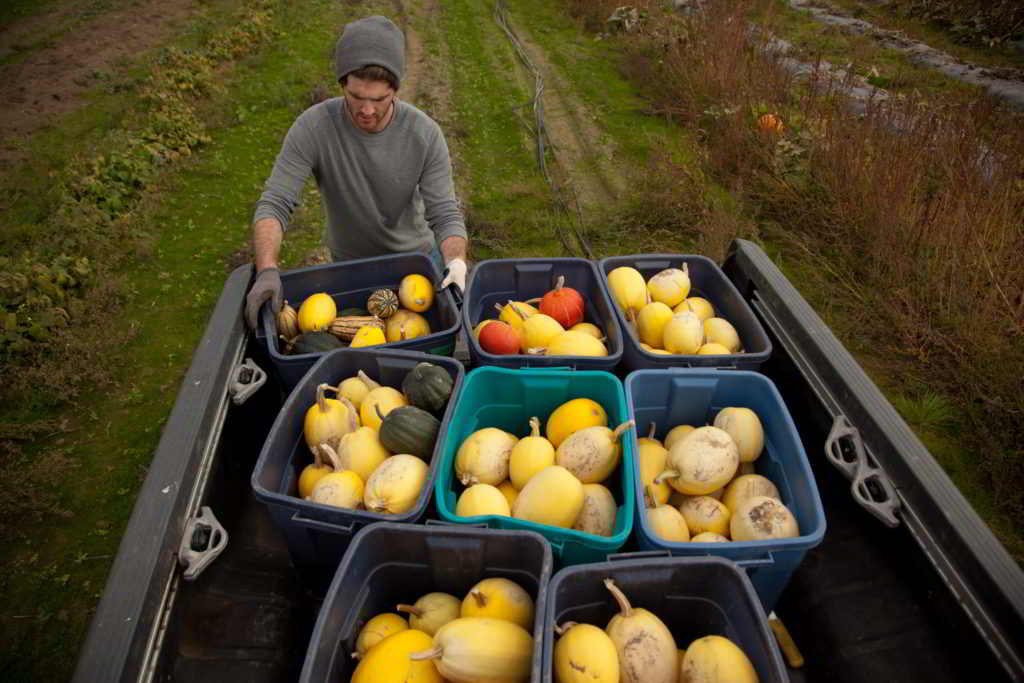 Tsawwassen Farm School