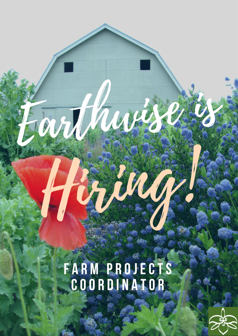 Earthwise Society