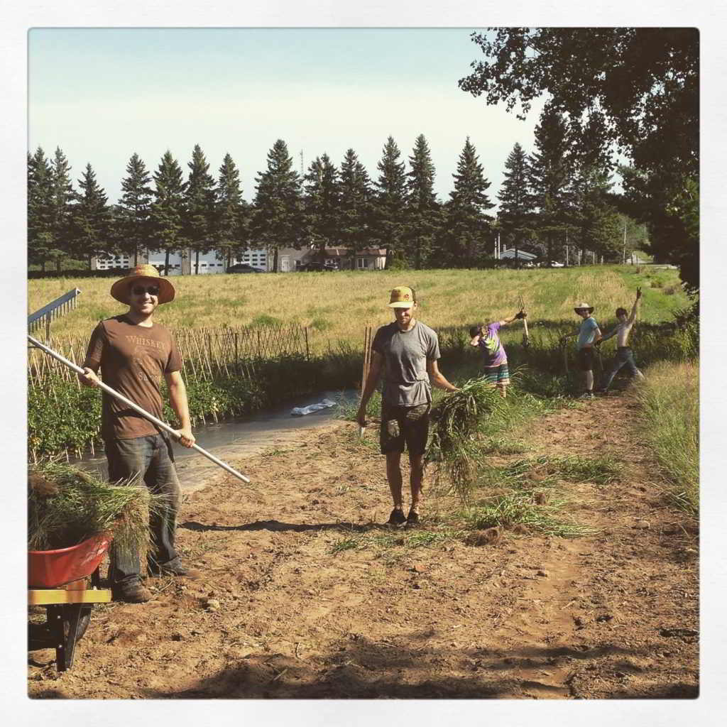 Internship Blue Wheelbarrow Farm