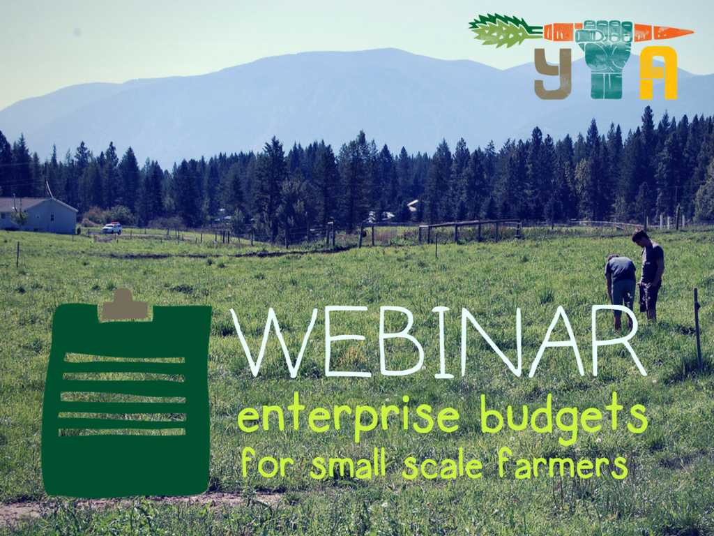 Enterprise Budget Webinar