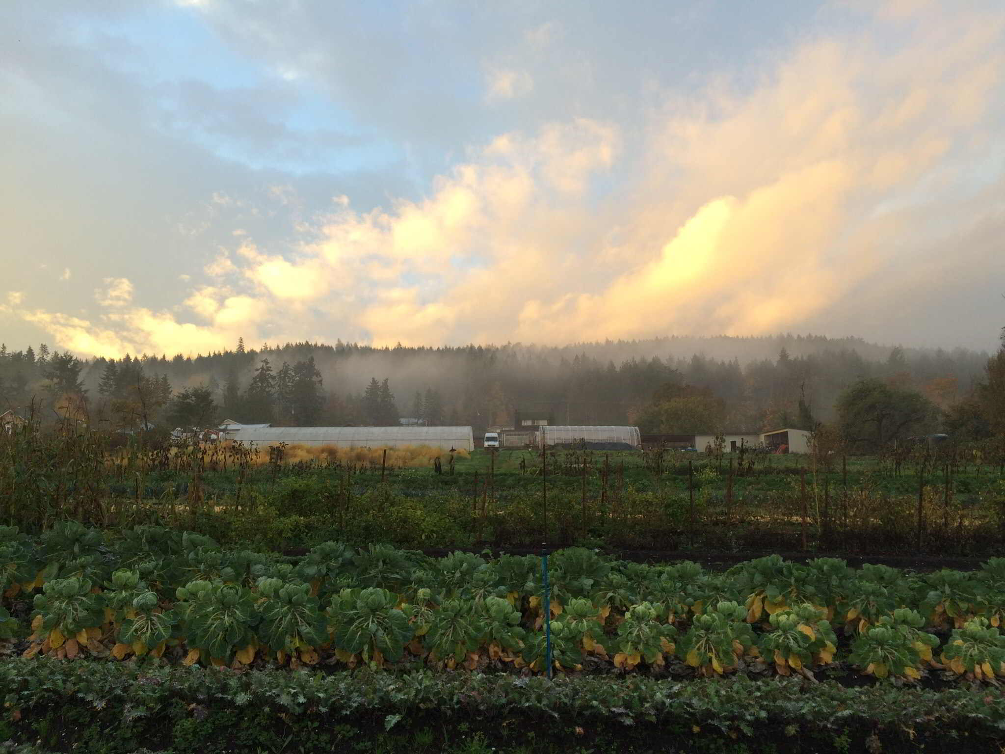 APPRENTICESHIP Saanich, BC 10 Acres Farm POSITION FILLED! Young