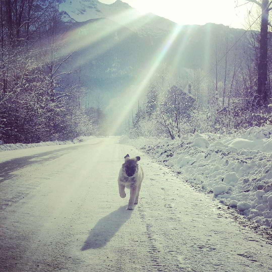 Blue House Organics Farm Manager