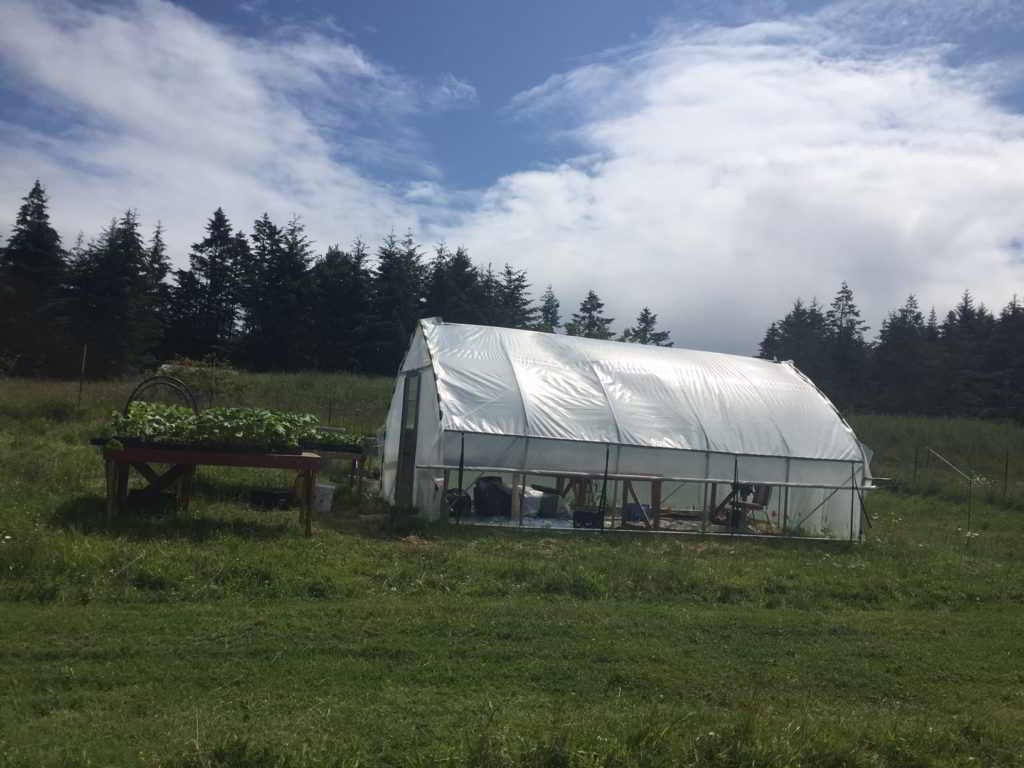 Active Pastures greenhouse