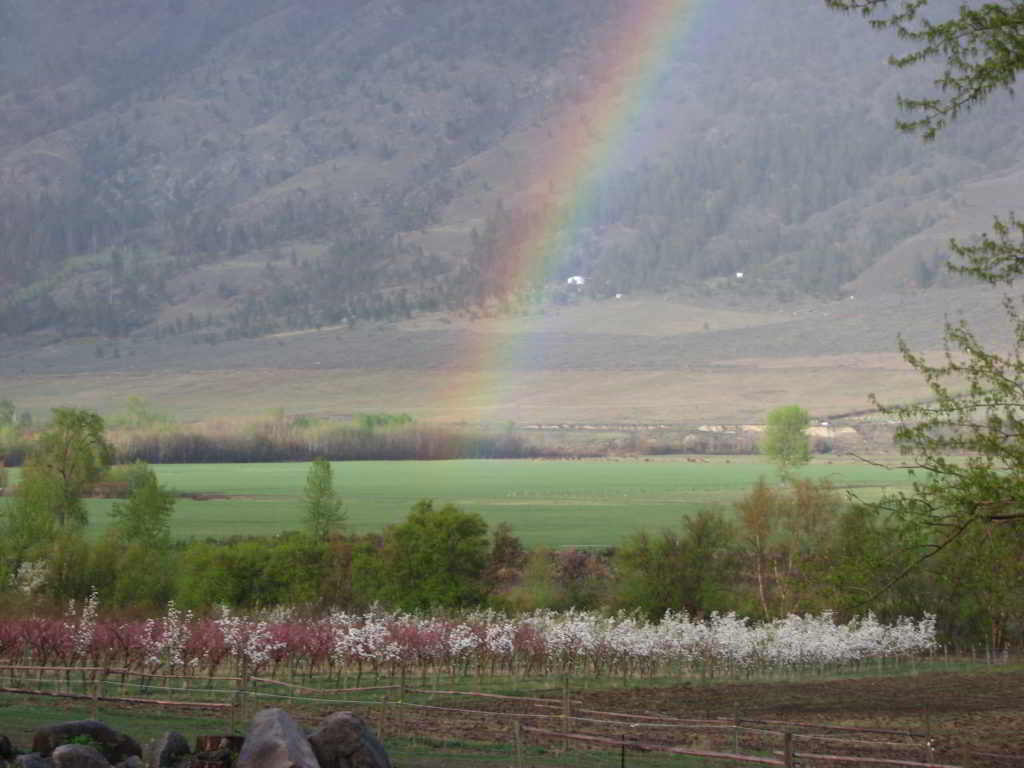 Rainbow at Snowy Mountain Farm