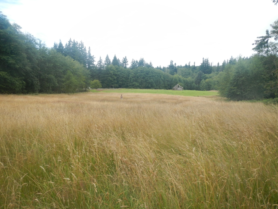 New Farmers Dane and Rachael's Farm Land