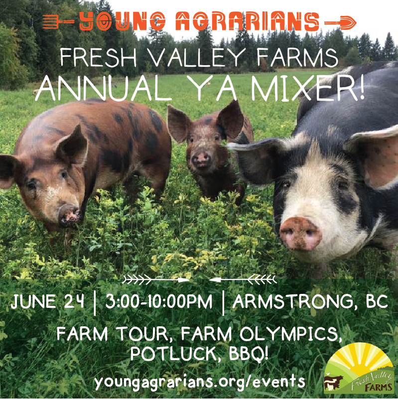 Fresh Valley Farms Annual YA Mixer