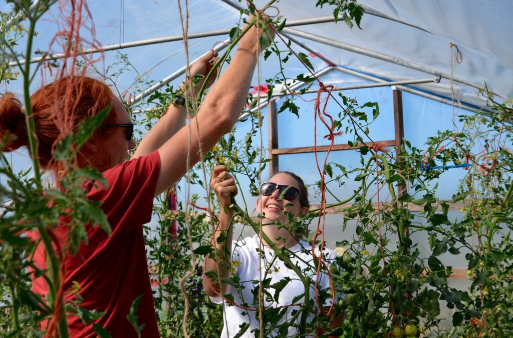 Farm Job Earthwise Agassiz