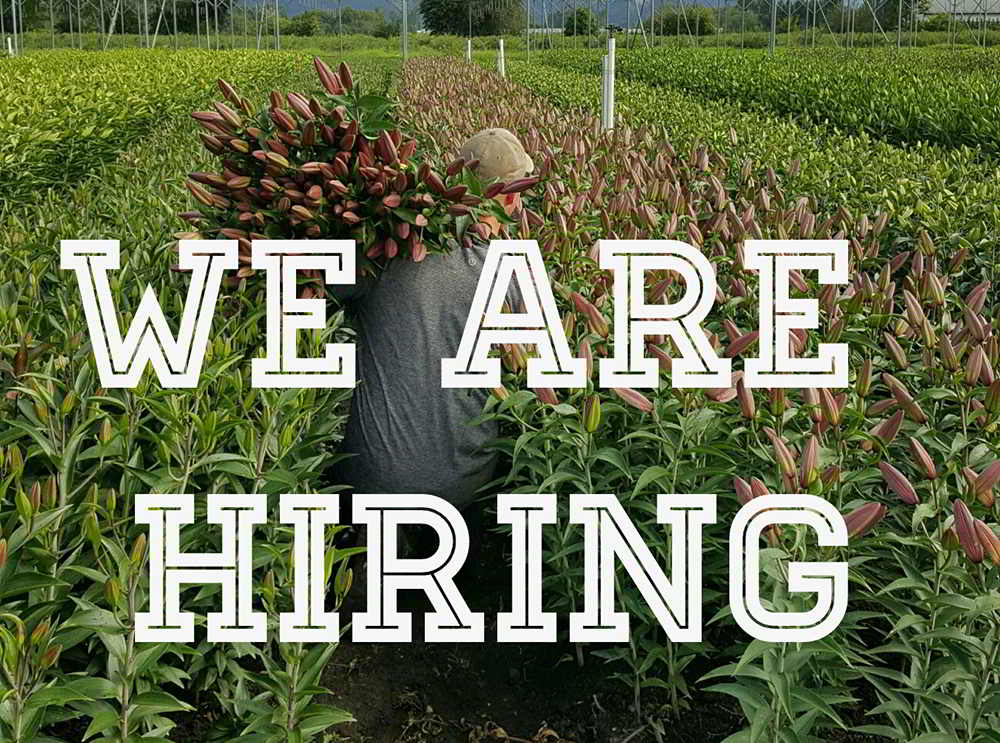 Blue Magic Greenhouses is hiring