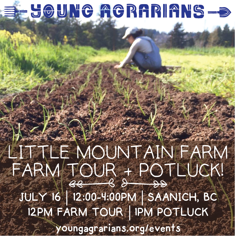Little Mountain Farm Tour Potluck