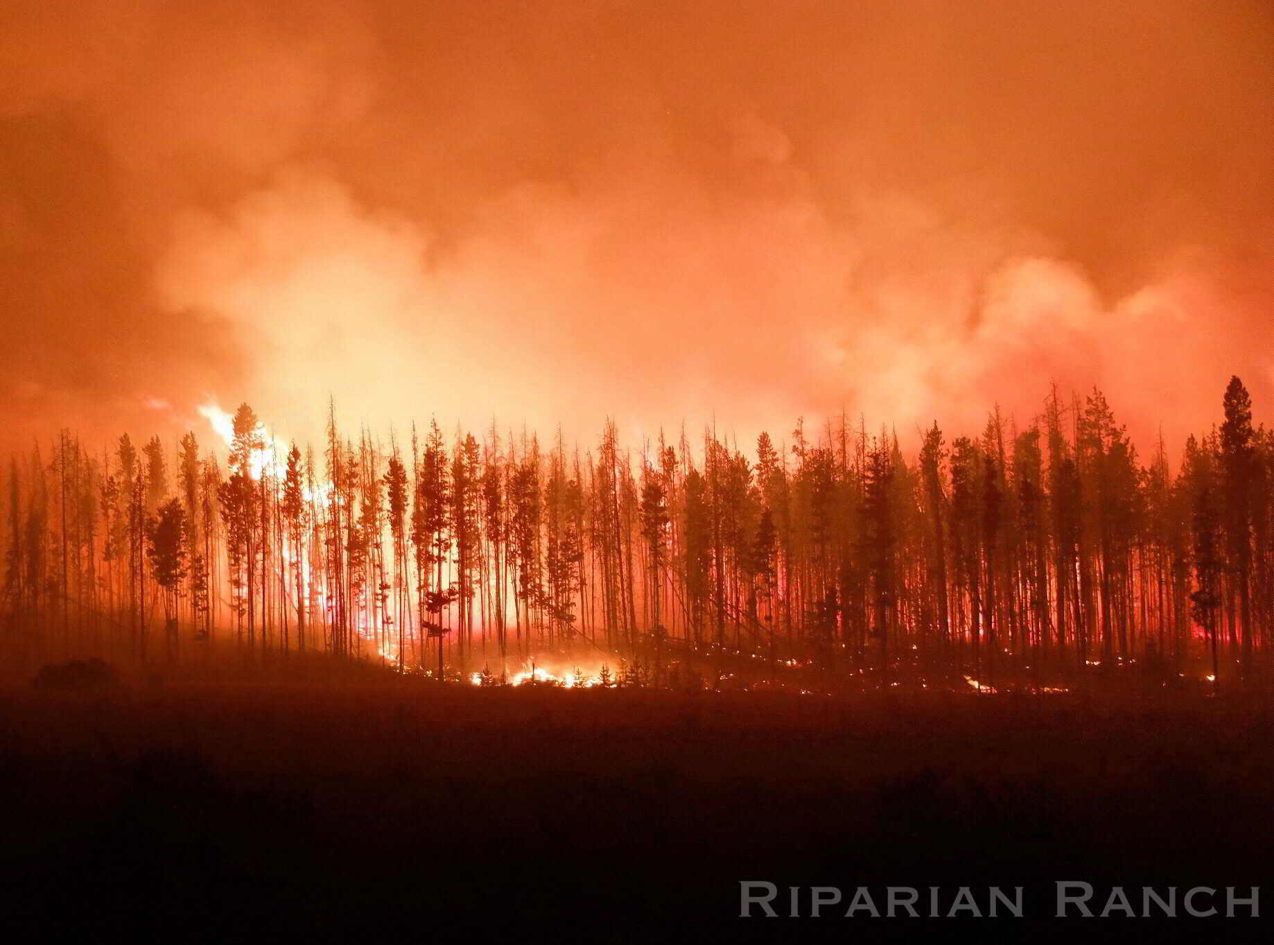BC Wildfire at Riparian Ranch