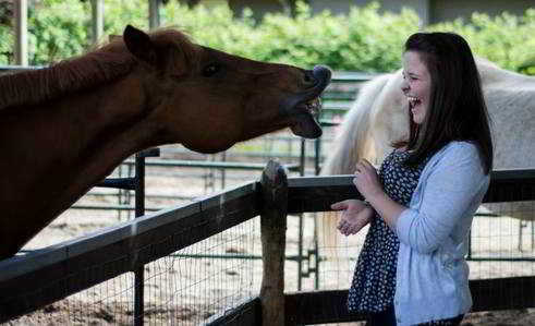 Southlands Heritage Farm horse laughing