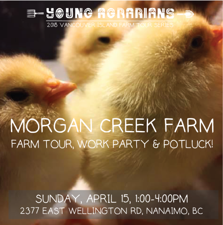 Morgan Creek Farm