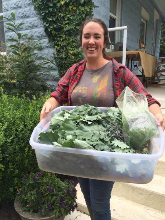 Earthwise Society Farm in Agassiz - Harvesting Kale