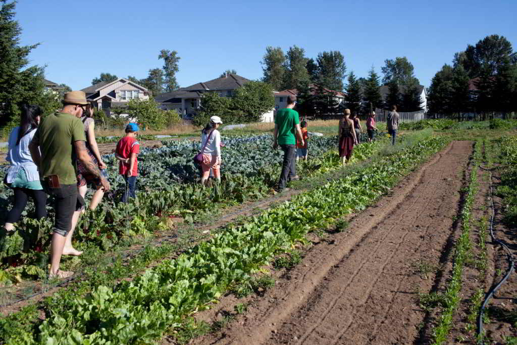 Zaklan Heritage Farm