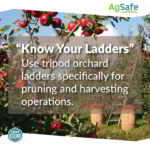 Don’t Miss a Step When it Comes to Ladder Safety!
