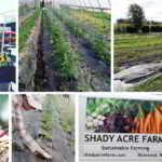 FARM BUSINESS FOR SALE: Shady Acre Farm, Richmond B.C.