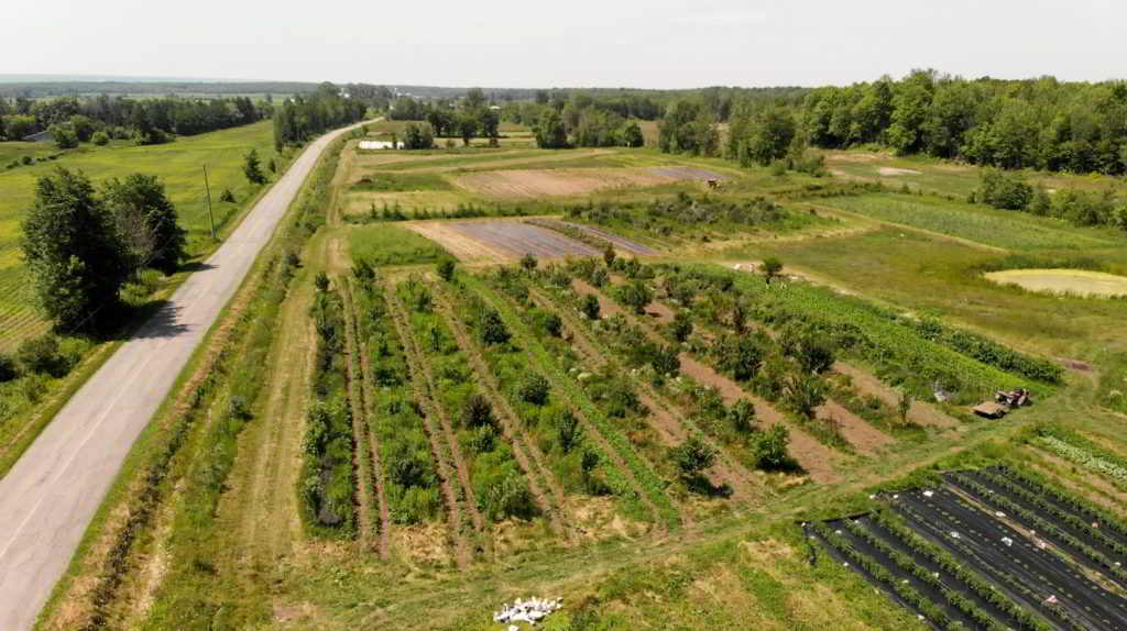Regeneration Canada - Jardins d'ambroisie