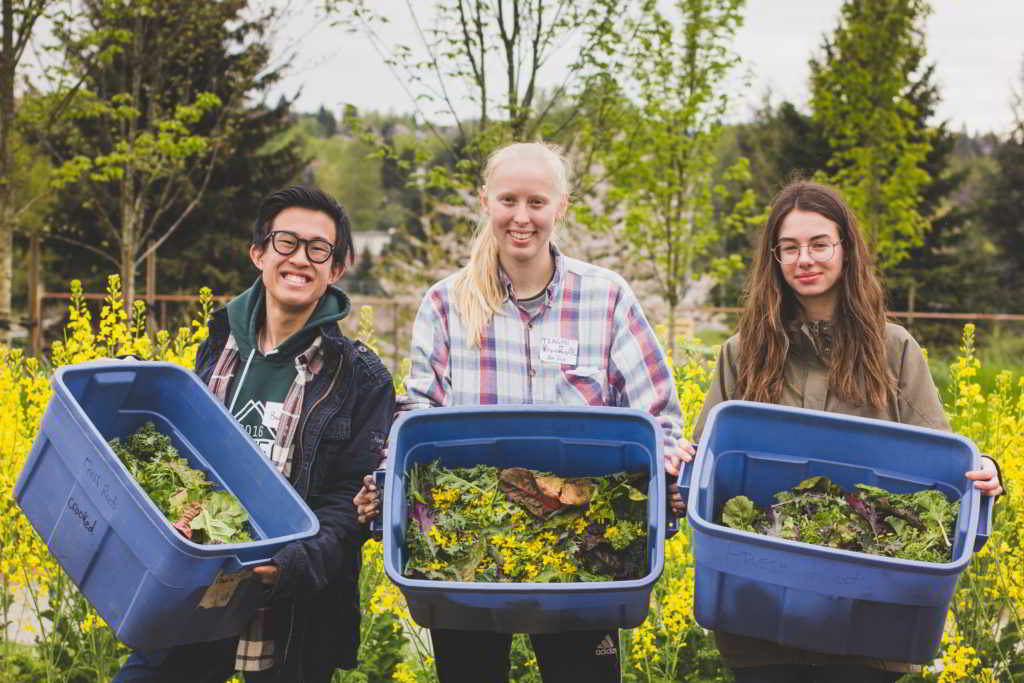 Fresh Roots Farm Internship