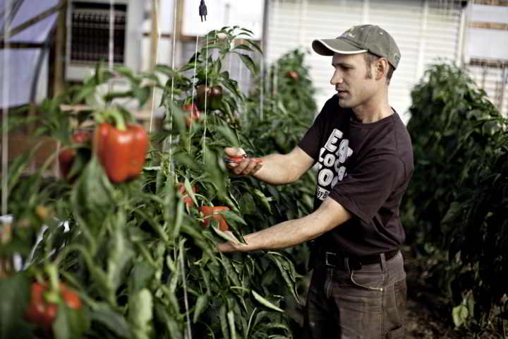 Ben Hartman Peppers