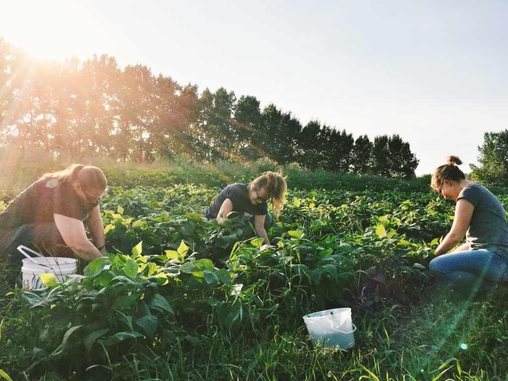 camrose alberta jobs