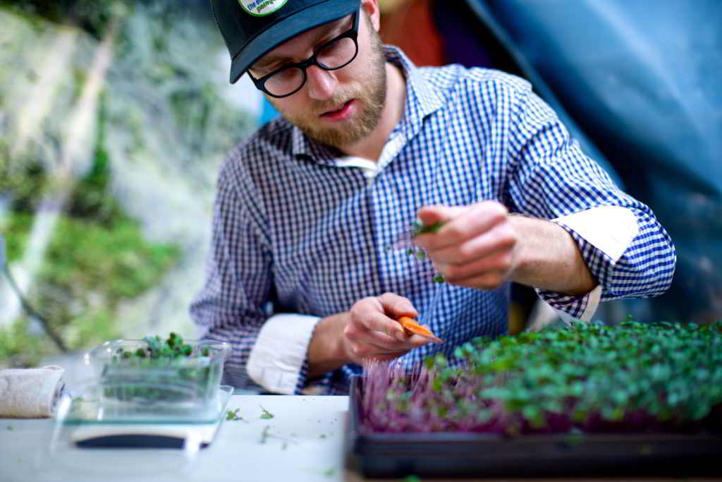 sky harvest, farm job, vancouver