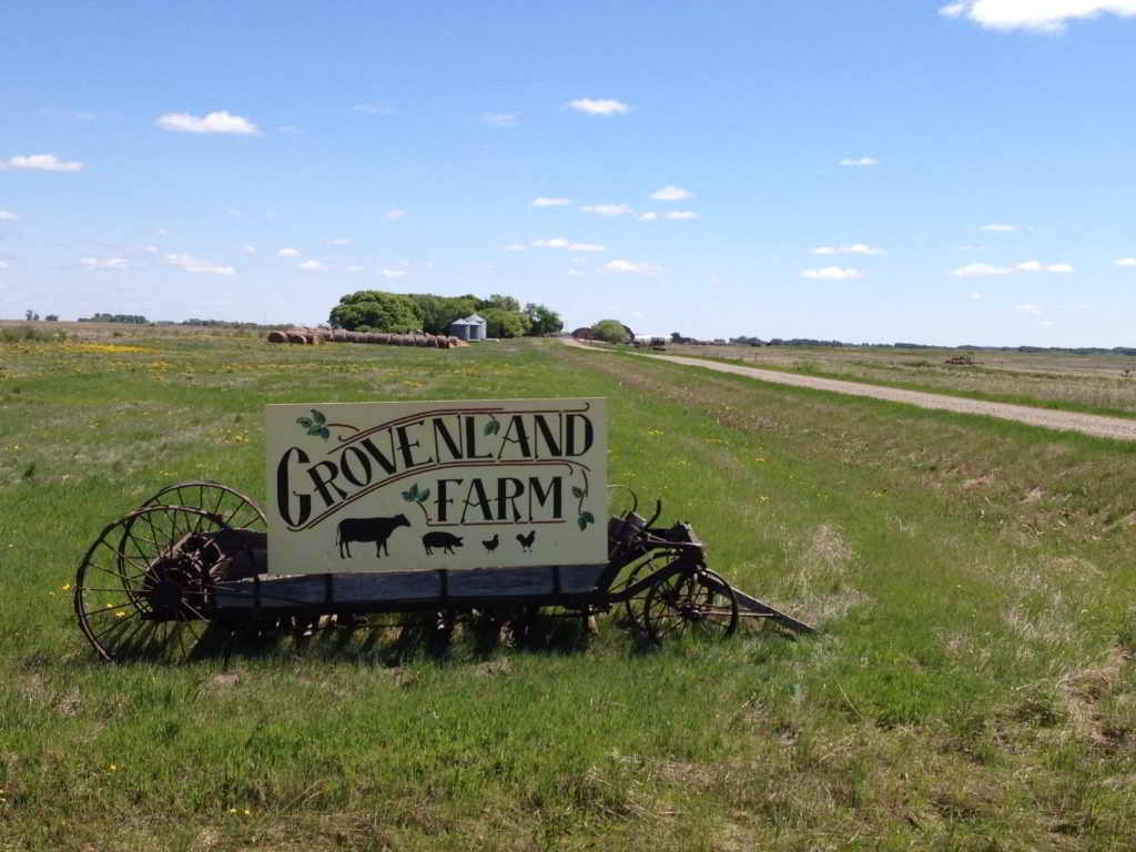 grovenland farm, farm job, saskatchewan, lanigan, young agrarians