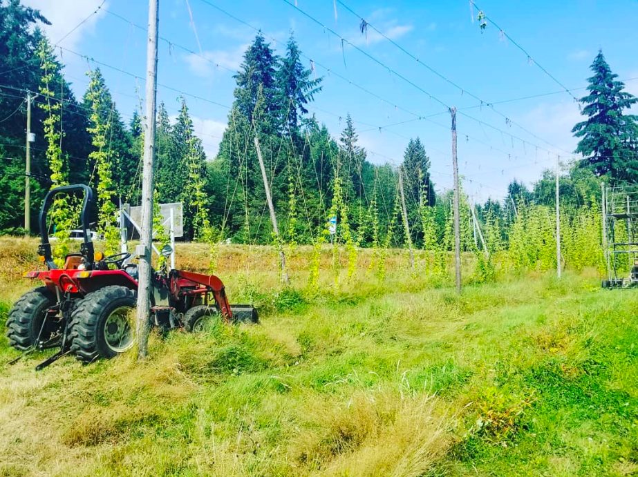 gibsons, sunshine coast, bc