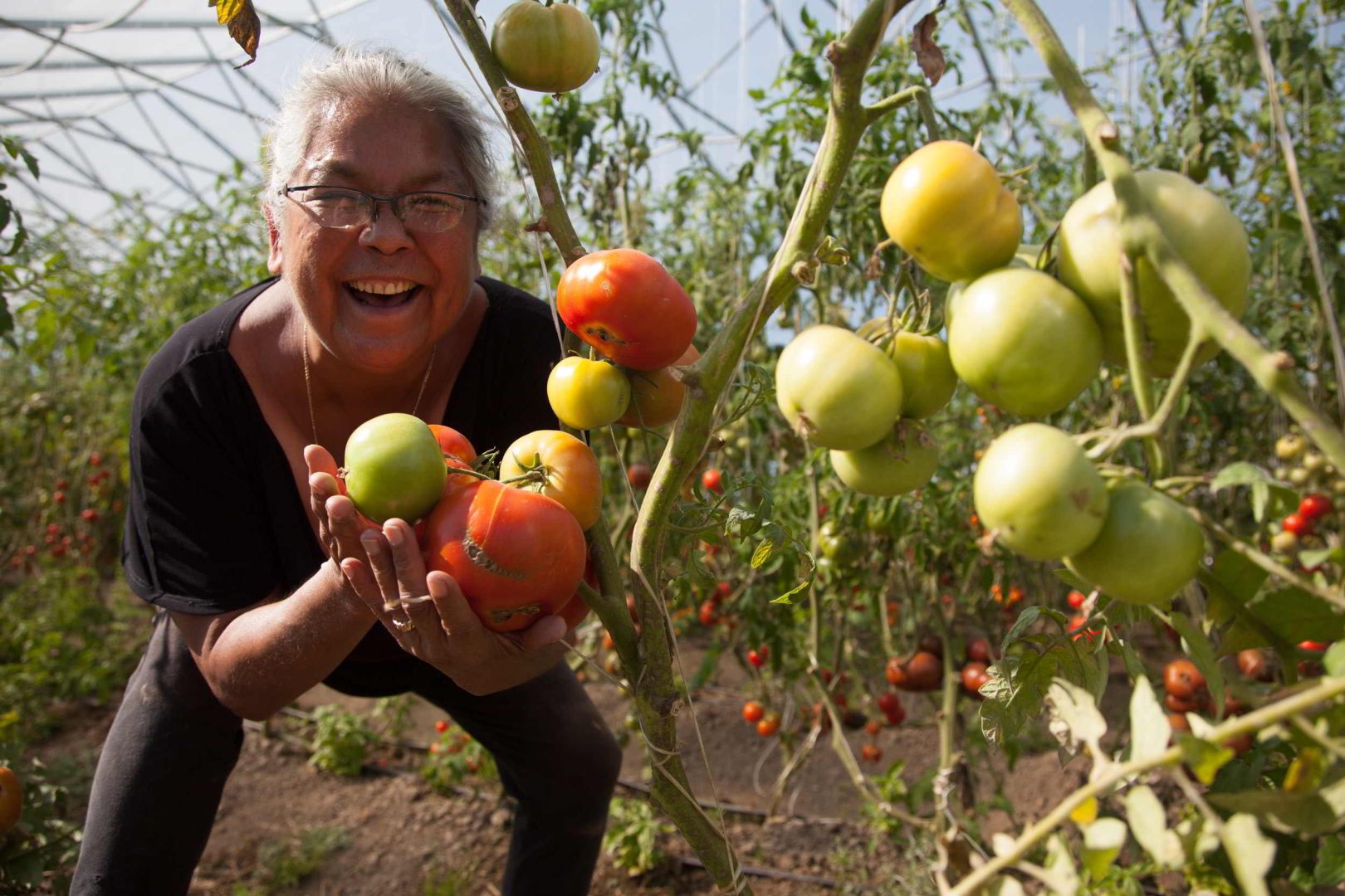tsawwassen farm school